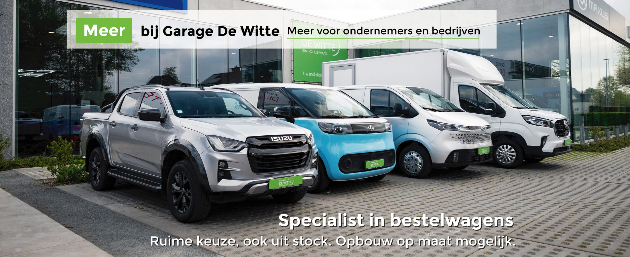 meerbijdewitte